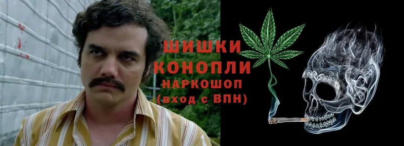 Бошки марихуана Bruce Banner  Гвардейск 